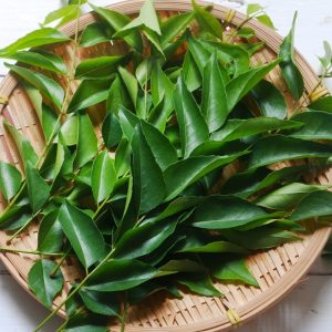 curry leaves nk