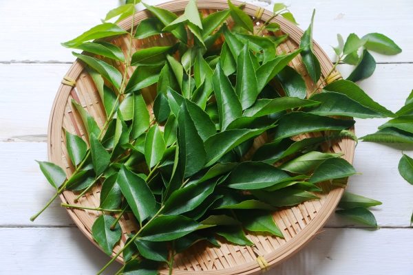 curry leaves nk